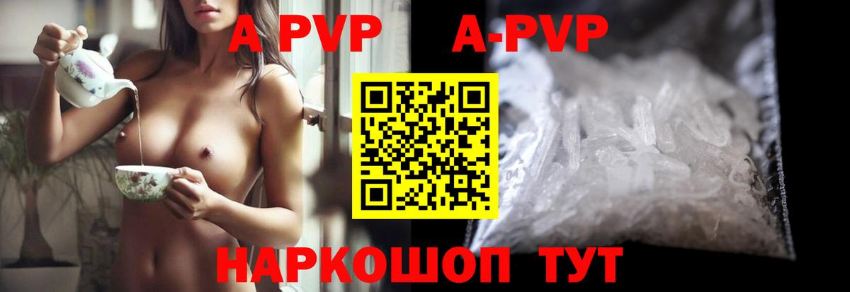 A-PVP СК КРИС Бердск