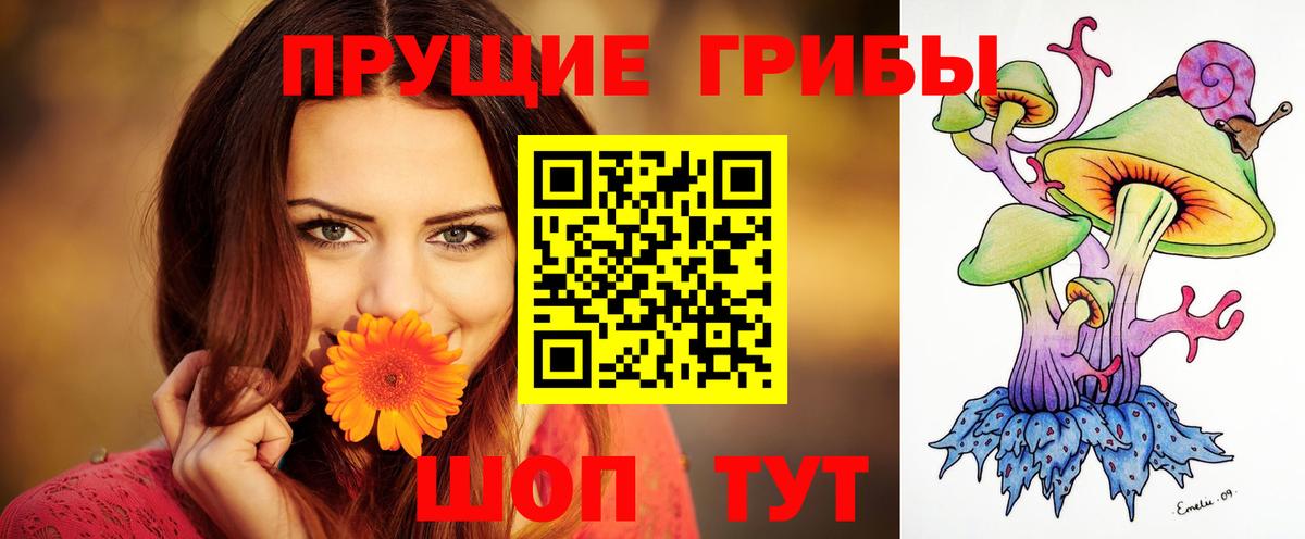 Галлюциногенные грибы GOLDEN TEACHER Бердск